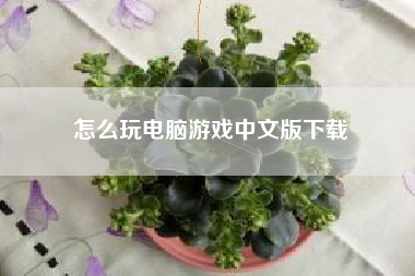 怎么玩电脑游戏中文版下载