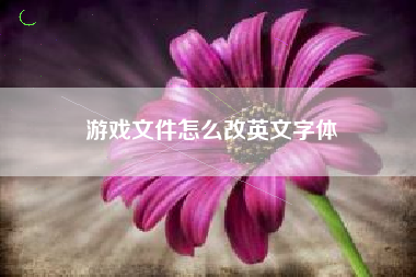 游戏文件怎么改英文字体  第1张