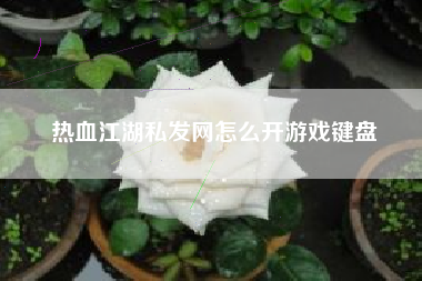 热血江湖私发网怎么开游戏键盘  第1张