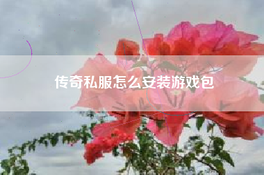 传奇私服怎么安装游戏包  第1张