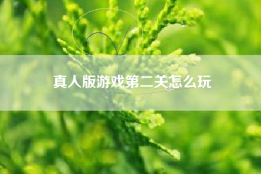 真人版游戏第二关怎么玩  第1张