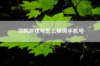 买的游戏号怎么换绑手机号  第1张