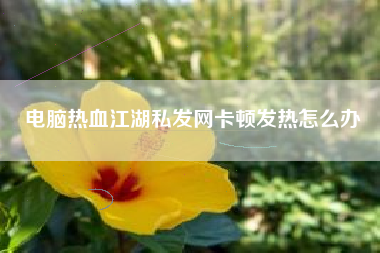 电脑热血江湖私发网卡顿发热怎么办