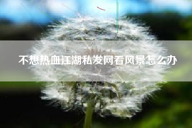不想热血江湖私发网看风景怎么办