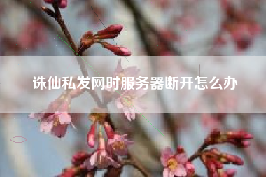 诛仙私发网时服务器断开怎么办  第1张