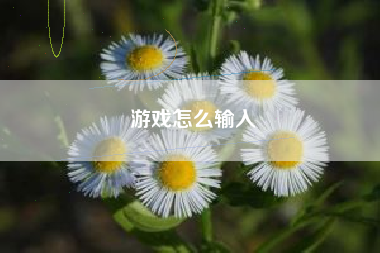 游戏怎么输入  第1张