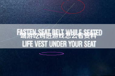 端游吃鸡进游戏怎么看资料 第1张 端游吃鸡进游戏怎么看资料 第1张