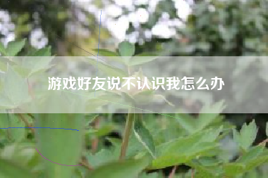 游戏好友说不认识我怎么办  第1张