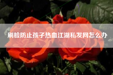 刷脸防止孩子热血江湖私发网怎么办  第1张