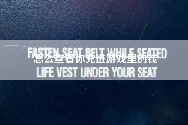 怎么查看你充进游戏里的钱  第1张