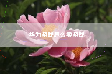 华为游戏怎么卖游戏
