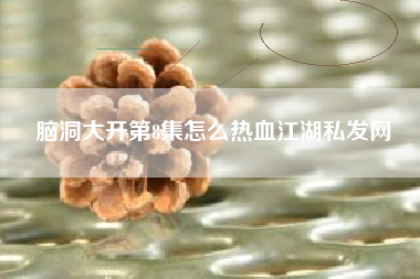 脑洞大开第8集怎么热血江湖私发网