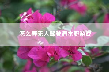 怎么弄无人驾驶潜水艇游戏