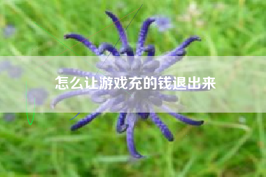 怎么让游戏充的钱退出来