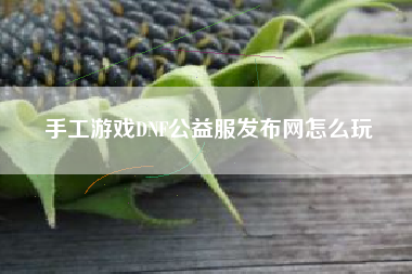手工游戏DNF公益服发布网怎么玩