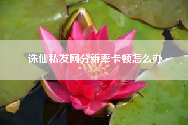 诛仙私发网分辨率卡顿怎么办