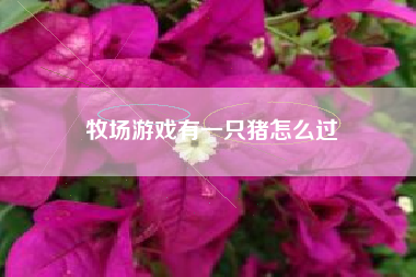 牧场游戏有一只猪怎么过