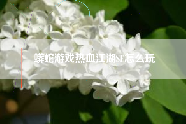 蟒蛇游戏热血江湖SF怎么玩