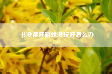 书没读好游戏没玩好怎么办