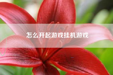 怎么开起游戏挂机游戏