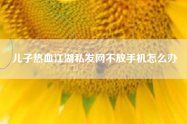 儿子热血江湖私发网不放手机怎么办