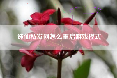 诛仙私发网怎么重启游戏模式