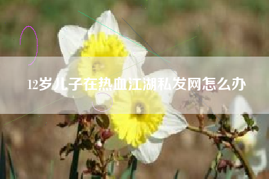 12岁儿子在热血江湖私发网怎么办