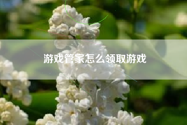 游戏管家怎么领取游戏