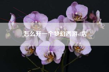 怎么开一个梦幻西游sf店