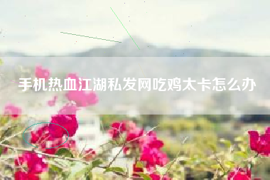 手机热血江湖私发网吃鸡太卡怎么办