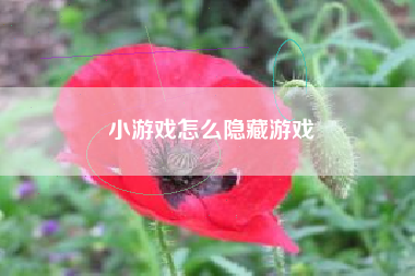 小游戏怎么隐藏游戏