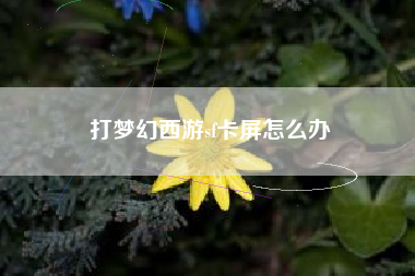 打梦幻西游sf卡屏怎么办