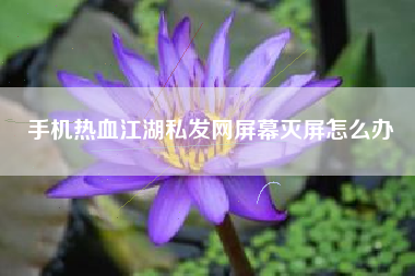手机热血江湖私发网屏幕灭屏怎么办  第1张