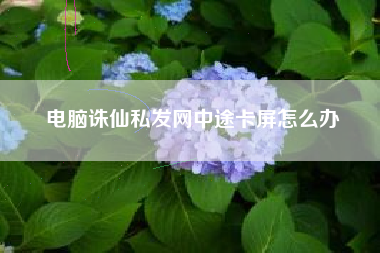 电脑诛仙私发网中途卡屏怎么办