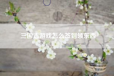 三国志游戏怎么签到领东西