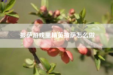 披萨游戏里精英披萨怎么做  第1张