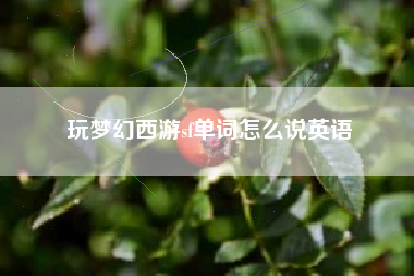 玩梦幻西游sf单词怎么说英语
