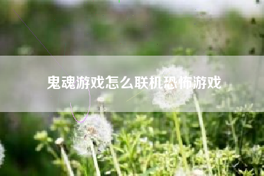 鬼魂游戏怎么联机恐怖游戏