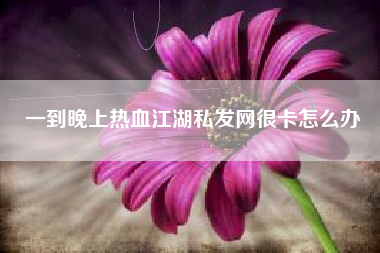 一到晚上热血江湖私发网很卡怎么办