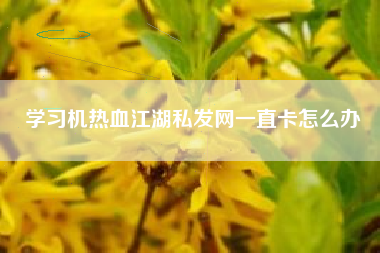 学习机热血江湖私发网一直卡怎么办