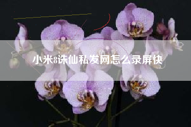 小米8诛仙私发网怎么录屏快