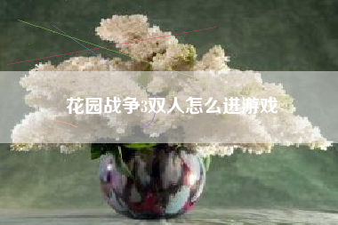 花园战争3双人怎么进游戏