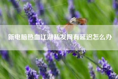 新电脑热血江湖私发网有延迟怎么办