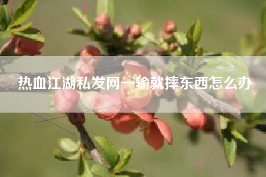热血江湖私发网一输就摔东西怎么办