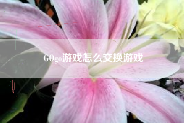 GOgo游戏怎么交换游戏