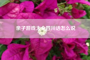 亲子游戏大全四川话怎么说