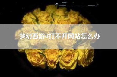 梦幻西游sf打不开网站怎么办