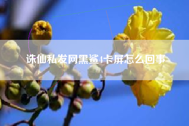 诛仙私发网黑鲨4卡屏怎么回事