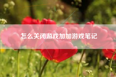 怎么关闭游戏加加游戏笔记