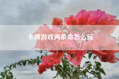 卡牌游戏两条命怎么玩